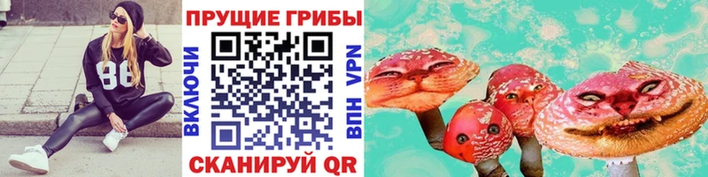 Псилоцибиновые грибы Cubensis  Кузнецк 